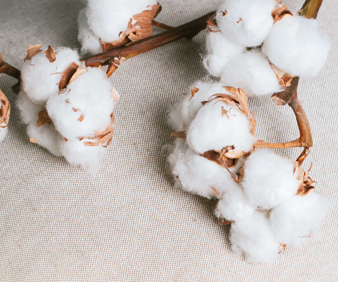 Proč je lepší recyklovaná bavlna?