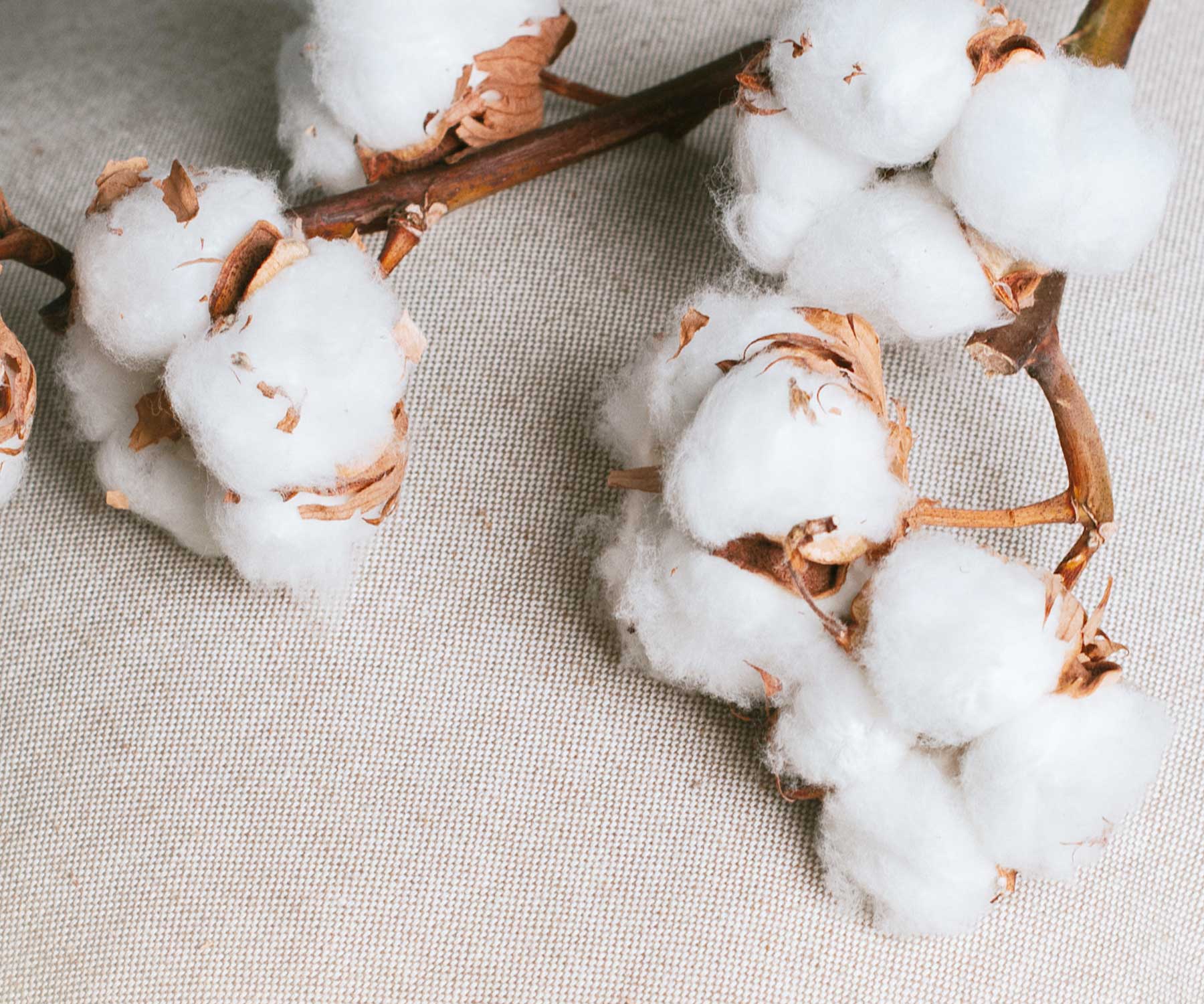 Proč je lepší recyklovaná bavlna?